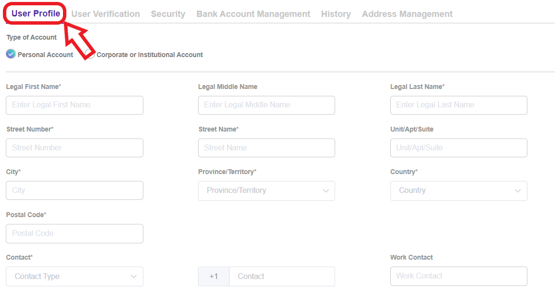 How Do I Verify My Account through Manual Verification? VirgoCX Support